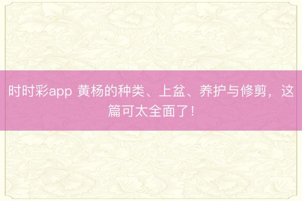 時時彩app 黃楊的種類、上盆、養護與修剪,這篇可太全面了!
