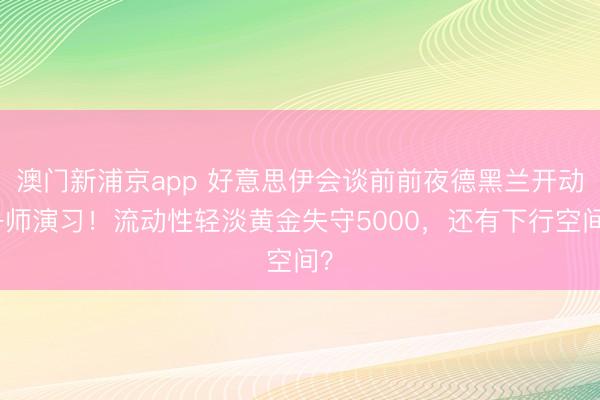 澳門新浦京app 好意思伊會談前前夜德黑蘭開動舟師演習！流動性輕淡黃金失守5000，還有下行空間？