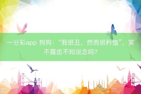 一分彩app 狗狗：“我很丑，然而很矜恤”，笑不露齒不知說念嗎？