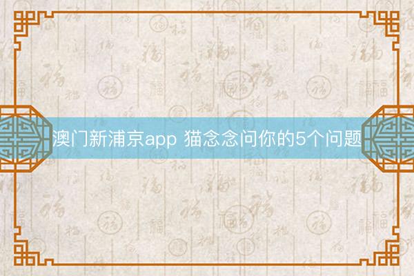 澳門新浦京app 貓念念問(wèn)你的5個(gè)問(wèn)題